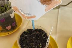 garten_11