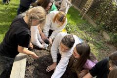 garten_2
