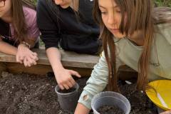 garten_3