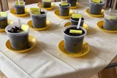 garten_9