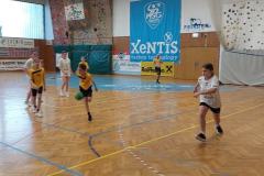Handball6