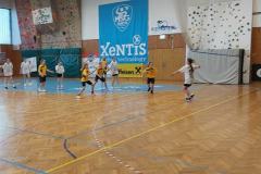 Handball7