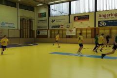Handball6